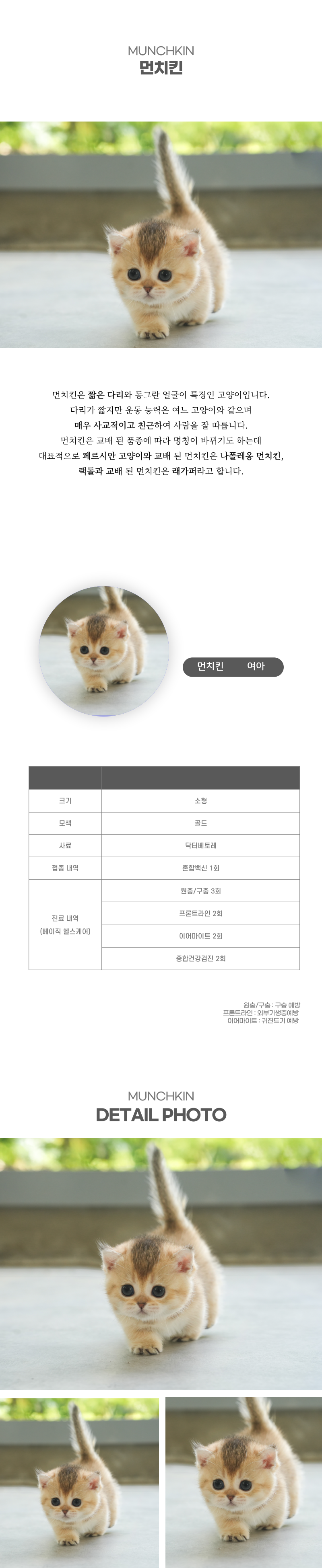 먼치킨_상세이미지_2